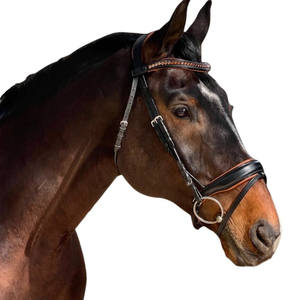 Enrollado Snaffle Bridle Venta caliente portátil disponible 100% precio competitivo montar De exportador indio - Product Image 2