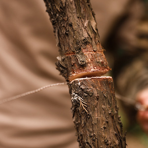 <span class=keywords><strong>Sierra</strong></span> de alambre de supervivencia de emergencia con cadena de cuerda de acero inoxidable, herramienta de corte de diamante portátil para corte rápido de árboles y ramas - Product Image 4