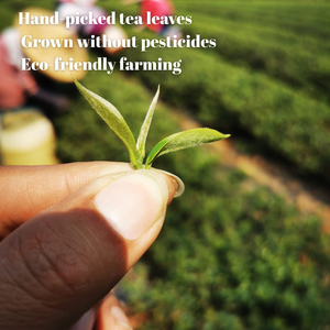 อาสซามผลิตภัณฑ์เสริมใบชาทรงหลวมลดน้ำหนักสำหรับส่วนผสมชาบับเบิ้ล - Product Image 6