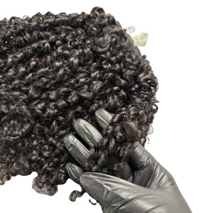 Extensions de cheveux à la kératine Pixie Curl, 100% cheveux humains, bouclés naturels, invisibles, sans couture, cheveux vierges vietnamiens, réutilisables, doux - Product Image 1