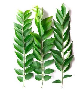 Cà ri lá karapincha và bột từ Sri Lanka 100% tự nhiên - Product Image 2