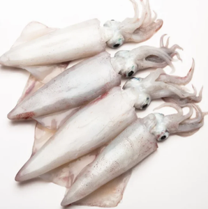 Calamar géant congelé de qualité supérieure, calamar entier, qualité d'exportation - Product Image 6