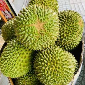 Durian frais du Vietnam de qualité supérieure pour l'exportation et la vente en gros - Product Image 6