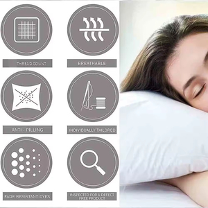 Fundas de Cojín Decorativas Personalizadas en Oferta / Nuevas Fundas de Cojín para Sofá de Sala de Estar y Hotel - Product Image 4