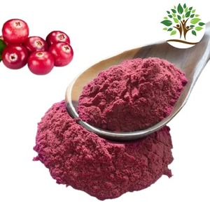 Poudre d'Eclipta Prostrata Premium, Extrait Naturel de Fruit Riche en Antioxydants pour la Santé des Voies Urinaires, le Soutien Immunitaire et la Croissance Capillaire - Product Image 2