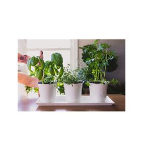 Jardinières galvanisées Pot intérieur et extérieur Jardin Maison Jardin Décoration Jardinières Rond Gris Plantes Pot Pot de Fleur - Product Image 3