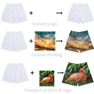 Vente chaude de shorts de basket-ball pour hommes de haute qualité avec poches à glissière grandes et grandes tailles maille nouveau Style Shorts de basket-ball décontractés - Product Image 5