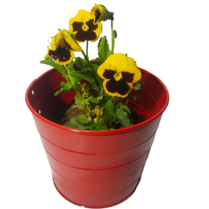 Pot de fleurs en métal artisanal de luxe, élégant et décoratif pour la maison et le jardin - Product Image 4