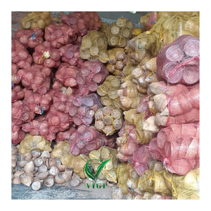 Coquille de noix de coco sèche du Vietnam pour l'industrie du charbon de bois, combustible de biomasse et briquettes de shisha avec prix de gros - Product Image 6