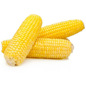 Maíz amarillo de alta calidad para consumo humano y uso animal, listo para exportación (NO OGM) - Product Image 4