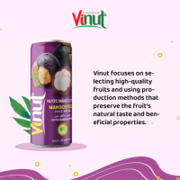Boisson au jus de mangoustan, canette en aluminium 320 ml, marque VINUT, vente en gros, fabricant vietnamien, boisson aux fruits tropicaux, approvisionnement en vrac