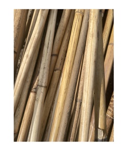 Rattan <b>Canes</b>/ Rattan Poles Eco-friendly 100% Natural Rattan Material for Home Decor Straight Rattan Stakes for Building - Product Image 1