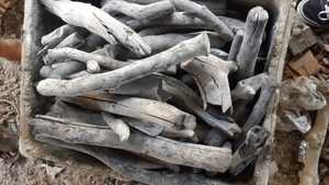 BARBACOA DE ALTAS CALORÍAS CARBÓN BLANCO LICHEE DE LARGA QUEMA LONGAN EUCALIPTO MADERA BIWOOD VIETNAM - Product Image 2