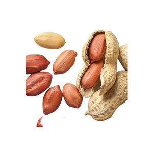 Top Quality Dried Whole Type Blanched <b>Peanut</b> White <b>Peanuts</b> Groundnut Kernel for Sale - Product Image 5