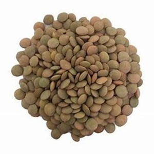 Lentilles vertes séchées abordables à prix de ferme en vente - Product Image 1