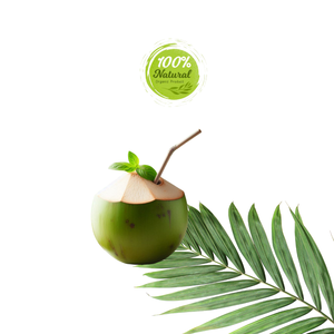 Noix de coco fraîche vietnamienne, boisson naturelle parfaite pour l'agriculture - Product Image 2