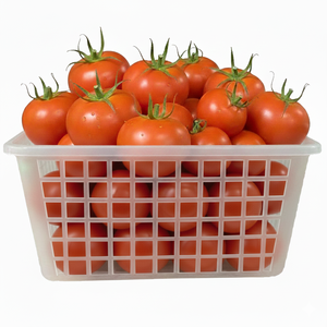 DX601 Durable and Practical <b>Food</b> Grade Mini <b>Tomato</b> Basket for Hamburger & Bread - Product Image 4