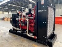 300kW 375kVA Erdgasgenerator mit Hanma-Motor für Industrielle Stromversorgung Wasserkühlung Automatisches Startsystem