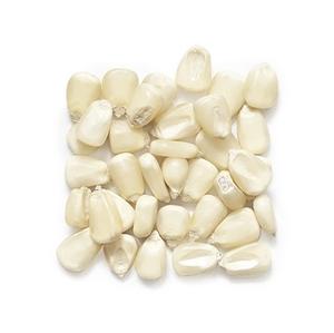 ข้าวโพดขาวสำหรับบริโภคของมนุษย์ ไม่ใช่พืช GMO ข้าวโพดขาว/ข้าวโพดขาวสำหรับอาหารสัตว์ ข้าวโพดป๊อปคอร์น ข้าวโพดขาว - Product Image 5