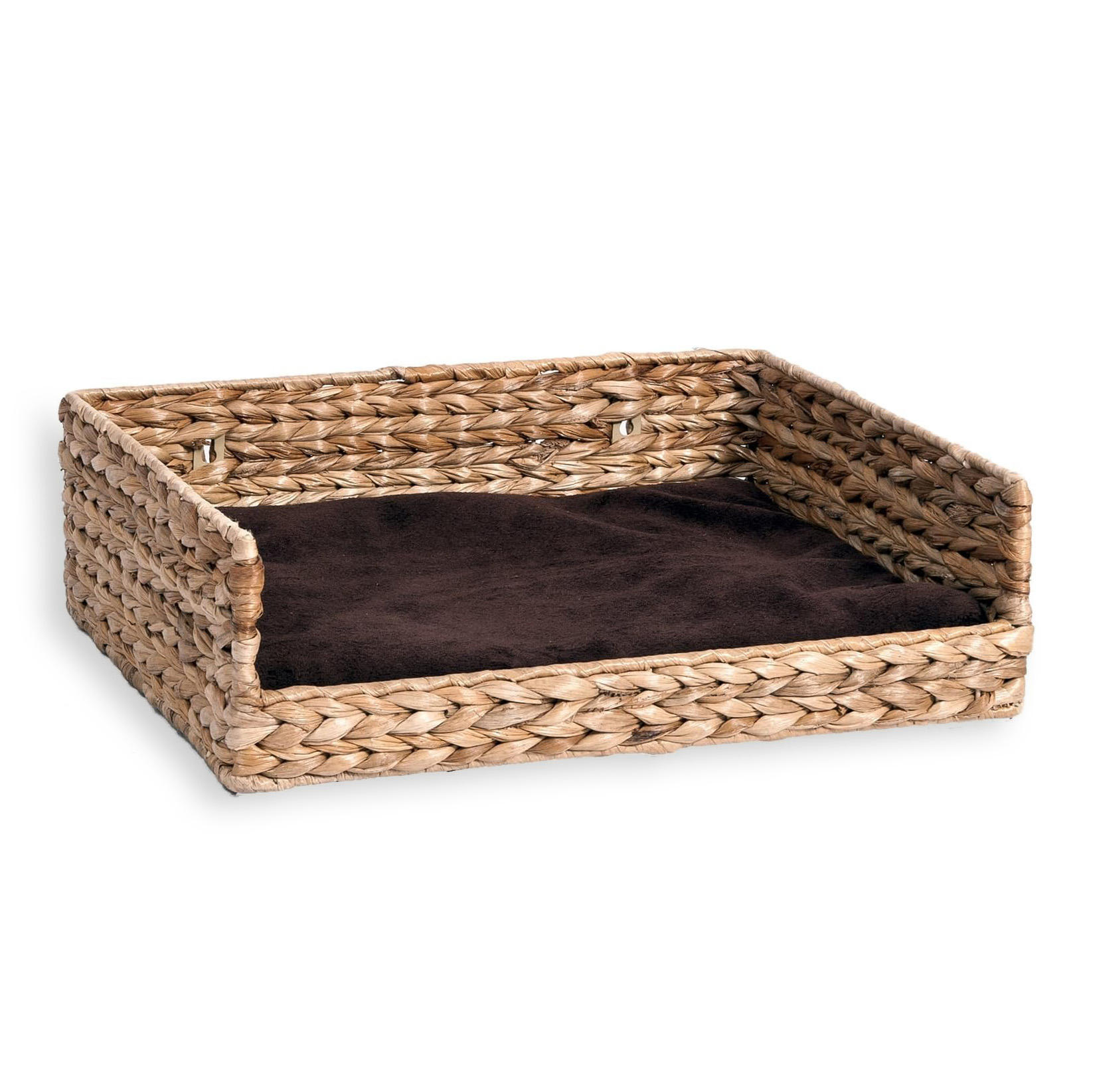 ธรรมชาติ