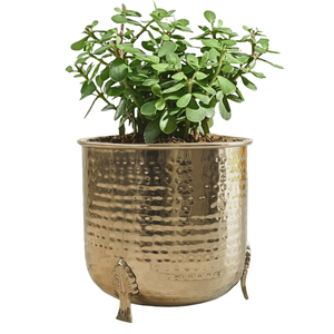 Maceta dorada estriada con soporte de metal y maceta interior elevada de lujo para decoración de hogar y oficina - Product Image 6