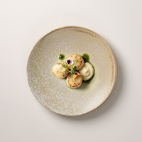 Assiettes de luxe émaillées colorées pour hôtels et restaurants, vente en gros du fabricant, autres fournitures hôtelières et de restauration