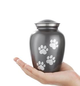 Pet Cremation <b>Urns</b> for <b>Dog</b> and Cat Ashes Memorial Paw Print <b>Urn</b> - Small Up to 35 Pounds Gray - Product Image 1