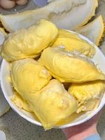 Vietnam 'S Verse Durian: Hoogwaardige, Nieuwe Oogst, Nu Op Voorraad
