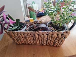 2024 meilleur prix tissé à la main bambou rotin paille panier intérieur extérieur fleurs et plantes Pots osier planteur paniers de rangement - Product Image 4