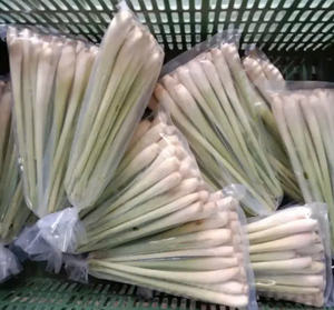 Vente en gros de citronnelle fraîche du Vietnam de haute qualité - Product Image 2