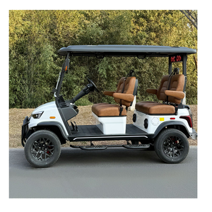 Carrito de golf en venta, productos chinos al por mayor, carrito de golf eléctrico F-14 G-4 - Product Image 3