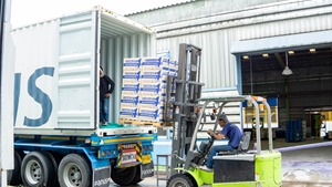 Rouleau de riz en caoutchouc, récipient de 20 pieds 10 pouces en aluminium bleu 704 boîte (unité 1,408) rouleau de riz en caoutchouc No.1 rouleau de riz à longue durée de vie - Product Image 6