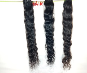 Machine de cheveux ondulés vierges naturels Remy non traités à cuticule alignée Paquets de cheveux humains vietnamiens bruts à double trame à vendre - Product Image 2