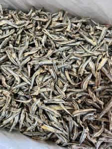 Anchoa seca hervida, pez pequeño, agua de temporada de alta calidad, Mar de fábrica de Vietnam - Product Image 2