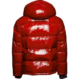 Chaqueta Acolchada para Hombre de Alta Calidad OEM, Cuello Alto, Logotipo Personalizado Impreso, Diseño Acolchado Brillante y Ligero, Invierno - Product Image 5