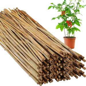 Estacas de bambú natural/Estacas de bambú para plantas/Estacas de jardín de bambú Buen precio por ECO2GO VIETNAM - Product Image 1
