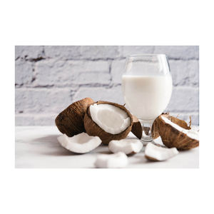 เครื่องดื่มกะทิกระป๋อง250มล. จากเบนท์เวียดนาม-ออกแบบโดยปราศจากตัวอย่าง - Product Image 4