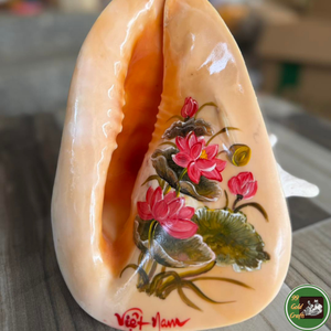 Décoration personnalisée en coquillages, utilisant des coquillages véritables pour l'artisanat décoratif et les souvenirs en provenance du Vietnam - Product Image 1