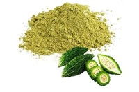 Extrait de courge amère de qualité alimentaire en vrac, poudre de Karela en fût pour applications industrielles au meilleur prix de gros
