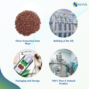 น้ํามันเมล็ดบรอกโคลีบริสุทธิ์และเป็นธรรมชาติ 100% ขายส่งจํานวนมากราคาต่ําสุดบรรจุภัณฑ์ที่กําหนดเอง - Product Image 4