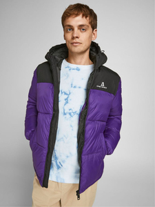 Chaqueta acolchada de invierno 2025 de alta calidad personalizada, chaqueta acolchada de burbuja para hombre, chaqueta acolchada de manga larga con cuello con capucha para hombre - Product Image 5