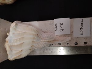 Lámpara de Sal Reciclada Ecológica Hecha a Mano Tallada en Diversos Tamaños para Uso Artístico y Coleccionable - Product Image 5