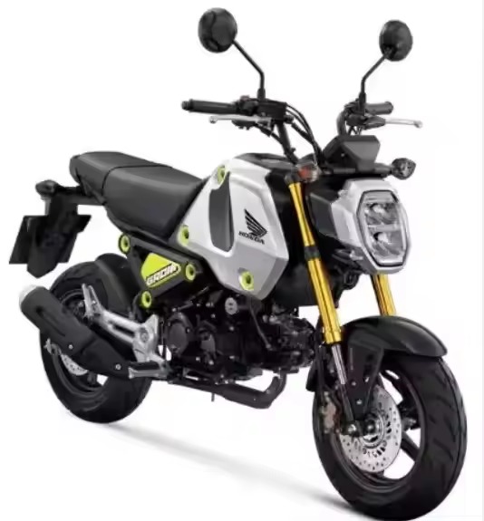 SKYTEAM MSX 125CC Motorcycles High Performance Style