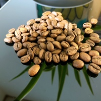 Grains de café Arabica torréfiés pour l'exportation au prix de gros du Vietnam