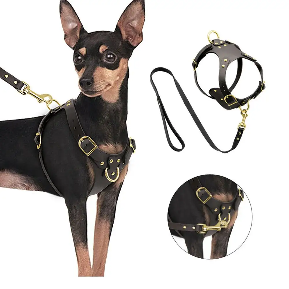 Diskon besar Amazon buatan kustom Harness anjing grosir penjualan terbaik hewan peliharaan kulit asli harness untuk anjing