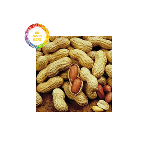 Cacahuetes congelados de grado IQF, suministro a granel, cacahuetes de fábrica de Vietnam, el mejor precio para pedidos de exportación - Product Image 4