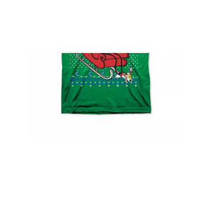 Freeze 24-7 Nickelodeon Christmas T-shirt da uomo in jersey di cotone 100% oversize con stampa serigrafica taglia media verde - Product Image 3