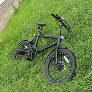Bicicletta Elettrica Pieghevole con Ruote da 20 Pollici, E-Bike Urbana con Motore Posteriore da 250W, Display LCD, Controllo di Crociera, Produzione OEM - Product Image 1