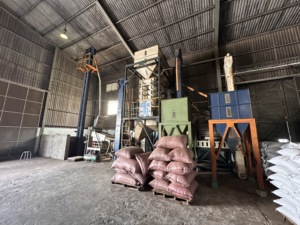 Vietnam Exportación de alta calidad de pimienta negra molida Hierba Especias 500GL-600GL 5MM Superior Entera seca cruda al por mayor en todo el mundo - Product Image 5