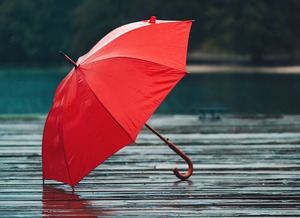 Parapluie de qualité supérieure avec protection UV pour la pluie ou le soleil, idéal pour les voyages, les événements en plein air et l'utilisation quotidienne à vendre - Product Image 4